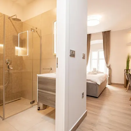 Deluxe & Revis Apartment *