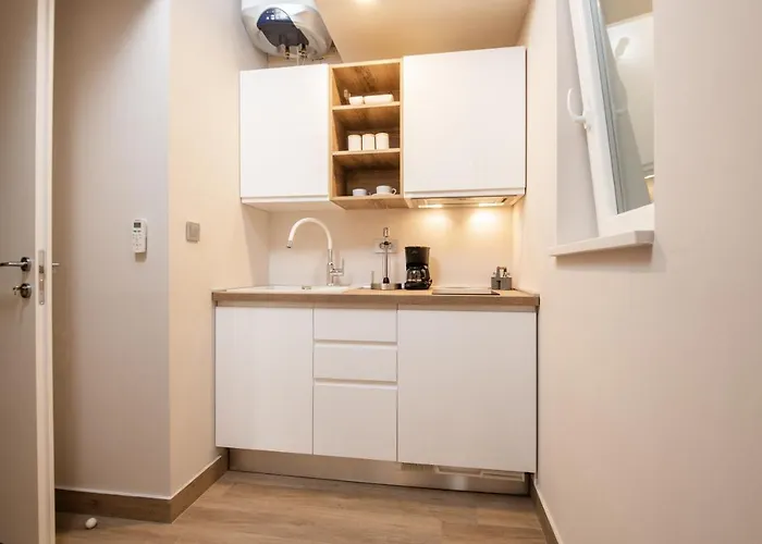 Deluxe Apartments&rooms Revis * Rijeka